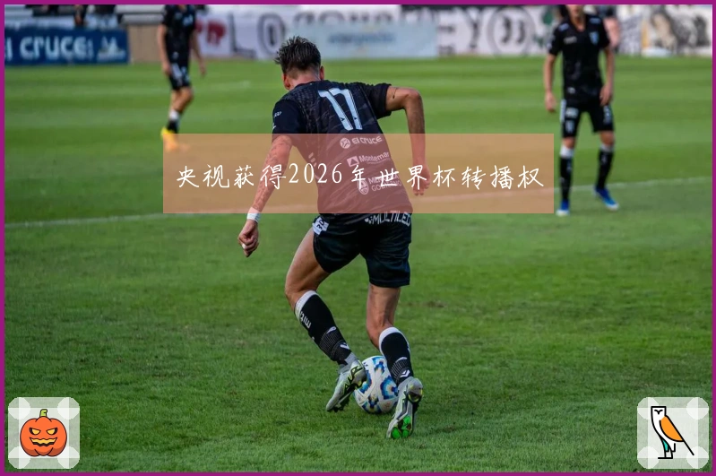 央视获得2026年世界杯转播权